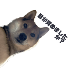 Kaito_20220209155123