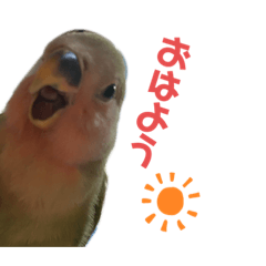 tori_20220209213921
