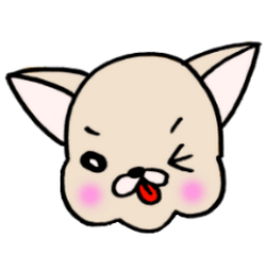 very cute Chihuahua Sticker