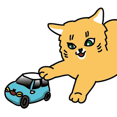 Tabby with cute cat car