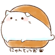 Cat sandwiched Sticker