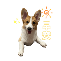 探吉小朋友