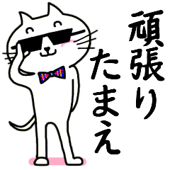 stickers of white cat with glasses