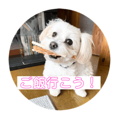 maru's stamp_20220210184524