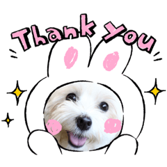 maru's stamp_20220210195237