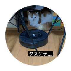yuka_20220210202716