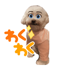 smile_20220210204027