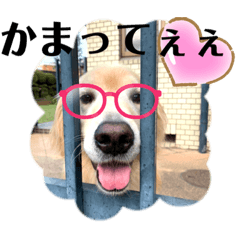 smile_20220210220843