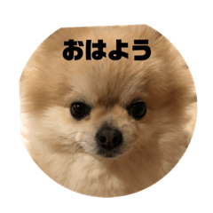 AKIKO_20220210235554