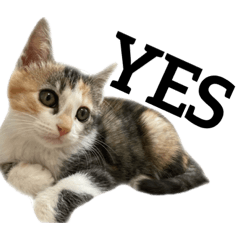 まものつかいおえぴ9