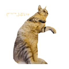 Kaito_20220210151000