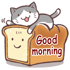 毎日おはよう猫