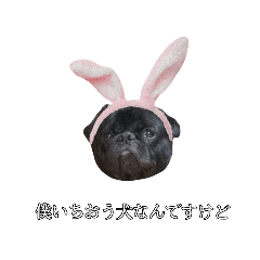 kuu._.
