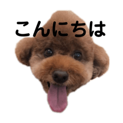 kaori_20220210153220