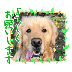 Hikaru_20220211093245