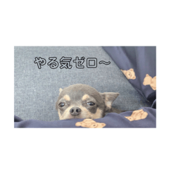 suzu_20220211062612