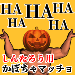 Shintarou Pumpkin macho