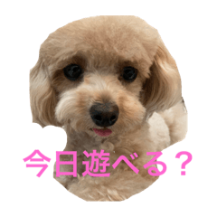 nozomi_20220210172559