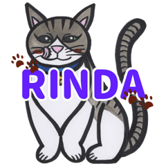 KIJITORA Cat Ms.LINDA