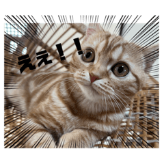 aoi_20220210183724