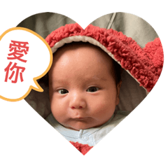 小熊寶寶趴兔