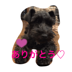 yukari_20220210235412