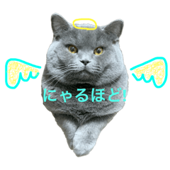 sakurako_20220210153724