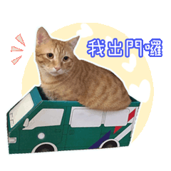 貓武將