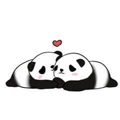 Sesame Panda love
