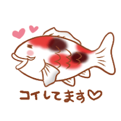 fish 66