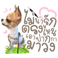 Iamnook_20220211012158