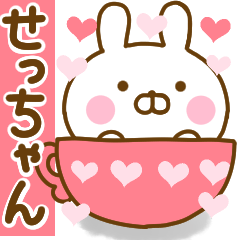 Rabbit Usahina love sechan