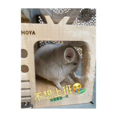 QQ日常3