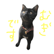 Mugi -1