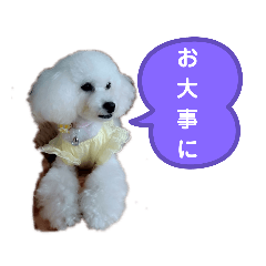 Kikikiiki
