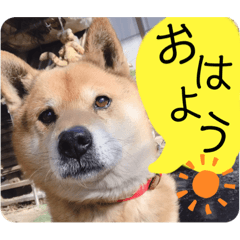 msk_20220212002428