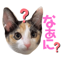suzu_20220212004253