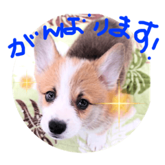 JACK_20220212100252