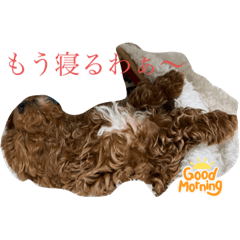 yaaa!_20220212101300