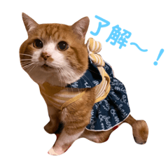 Cherry_20220211161542