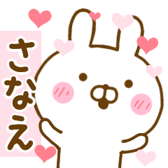 Rabbit Usahina love sanae