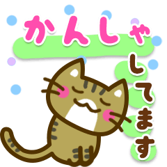 Cute Tabby CAT[any opponent]