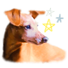 Sticker of a dog....