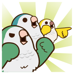 Miss Lovebird-Monk parrots' meme