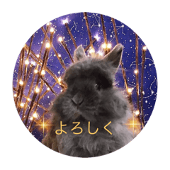KAORI_20220212113130