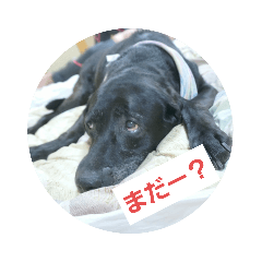 yuka_20220211203039