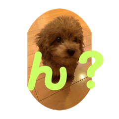hana_20220211205257