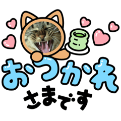 honey_20220212102257