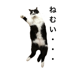 ちーちゃっぐろー