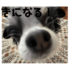 MIZUKI_20220212135108